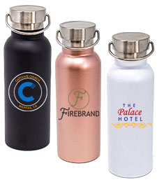 17 oz Caribe Vacuum Insulated Stainless Steel Double Wall Bottle