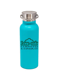 17 oz Caribe Matte Sea Foam Green Vacuum Insulated Stainless Steel Double Wall Bottle with Brushed Lid and Handle
